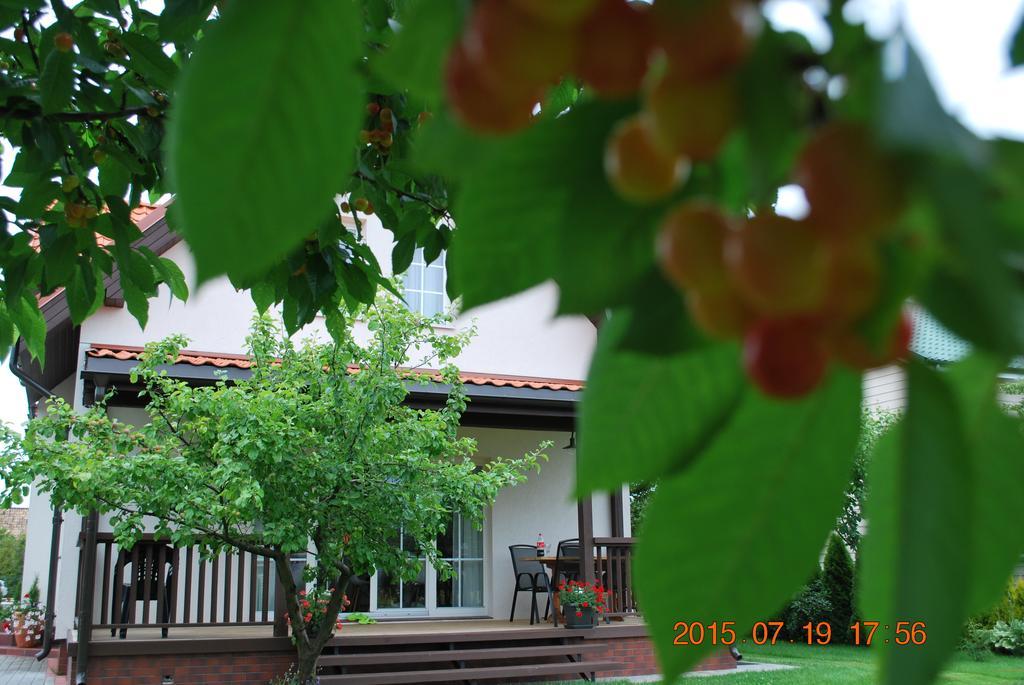 Vila Joana 帕兰加 外观 照片